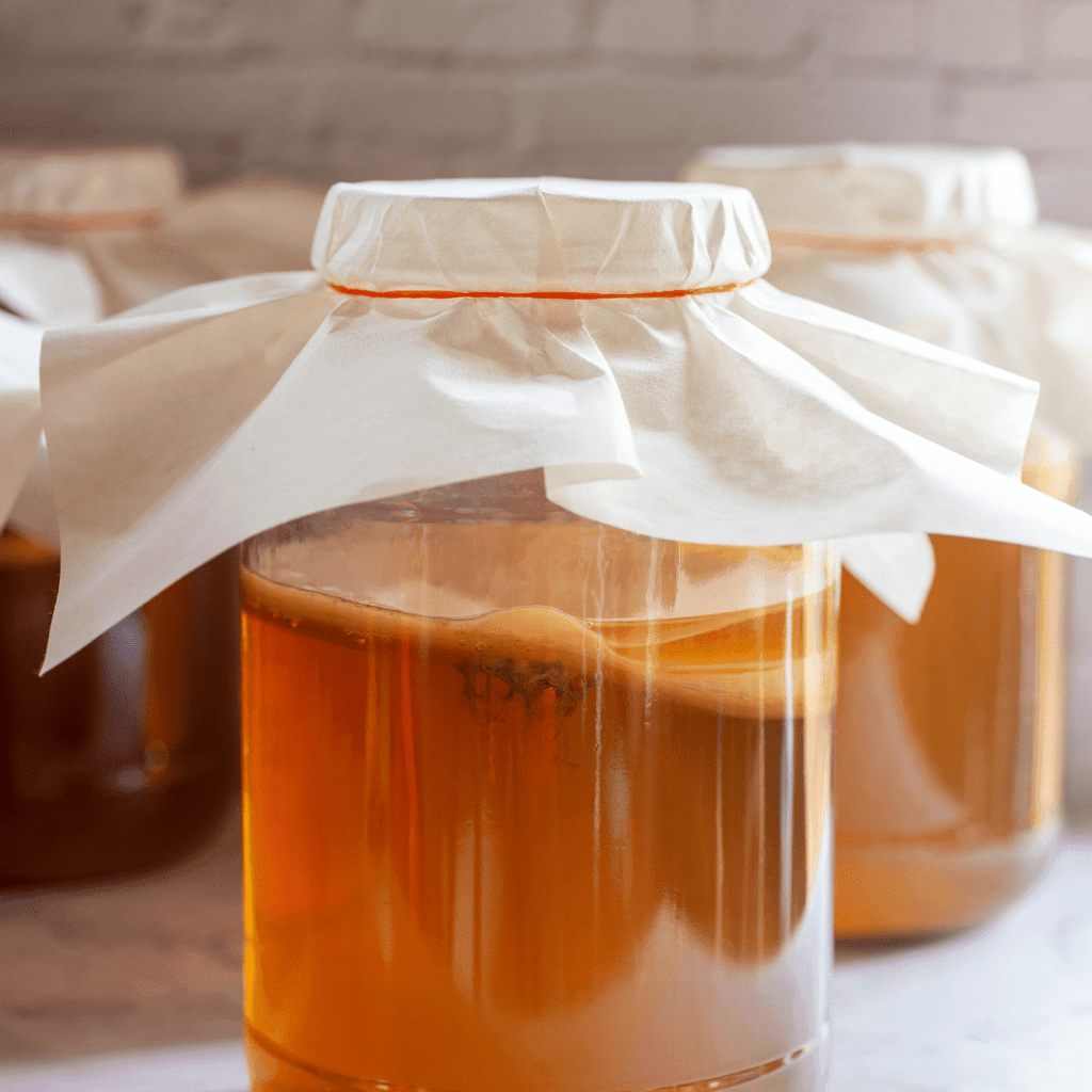 Kombucha SCOBY: What It Is and How to Make One