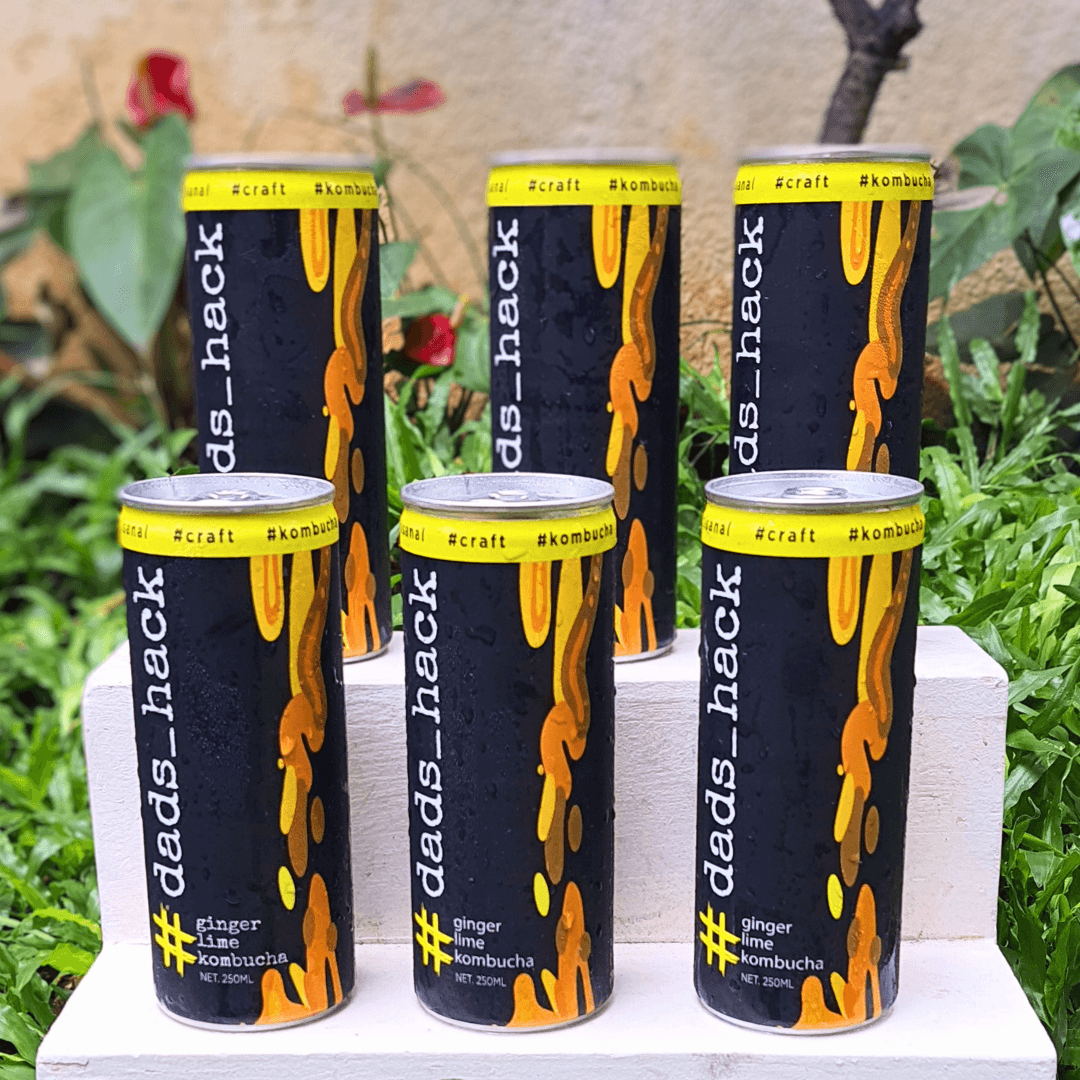 Ginger Lime Kombucha Cans [Pack of 6]